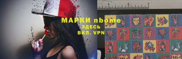 мет Алексин