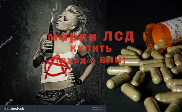 амф Алзамай