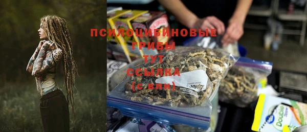 мет Алексин