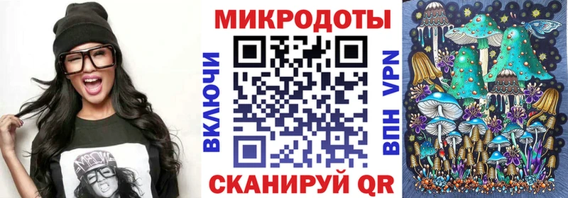 дарнет шоп Петрозаводск Галлюциногенные грибы Cubensis