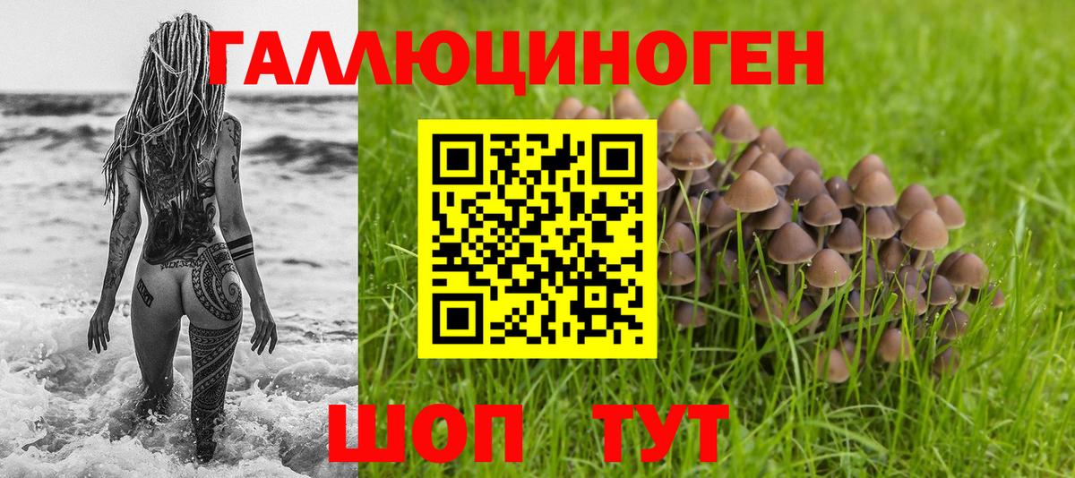 Галлюциногенные грибы MAGIC MUSHROOMS  Вход с VPN  Петрозаводск 