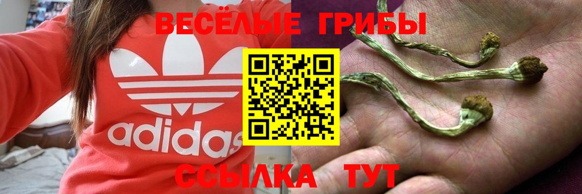 Галлюциногенные грибы Magic Shrooms Петрозаводск