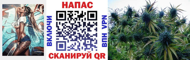Каннабис Bruce Banner Петрозаводск