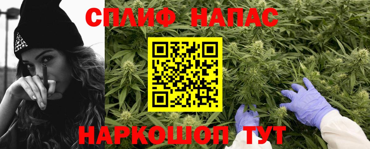 Каннабис сатива Петрозаводск